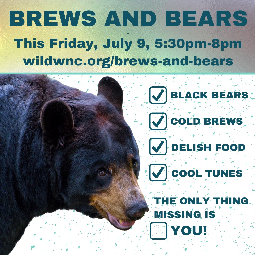 Wncbrewsandbearsfacebook